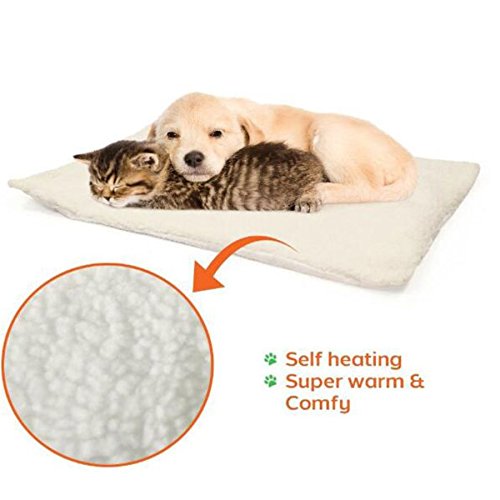 Set of 2 Self Heating Pet Beds Glow Wholesale