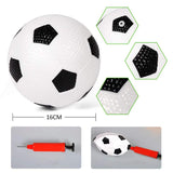 Junior Football Goal Net with Ball and Pump
