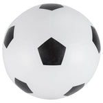 Junior Football Goal Net with Ball and Pump