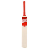 Deluxe Size 5 Twenty20 Cricket Set