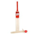 Deluxe Size 5 Twenty20 Cricket Set