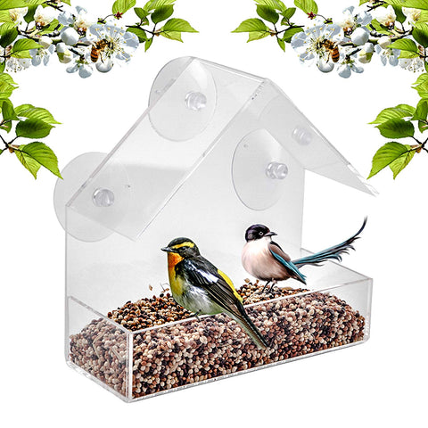 Window Bird Feeder